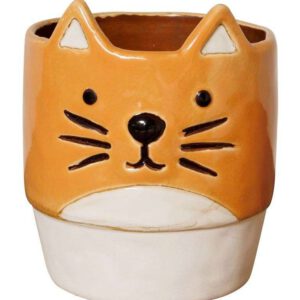 Cache pot Chat