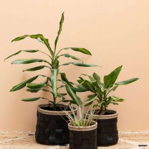 Cache pot pneu recyclé grand modèle