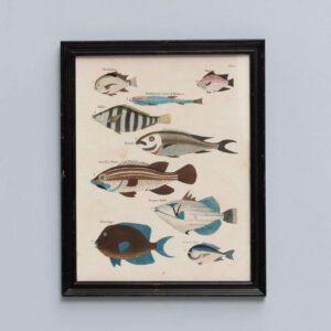 Cadre poissons multicolores 3