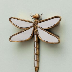 Libellule en miroirs