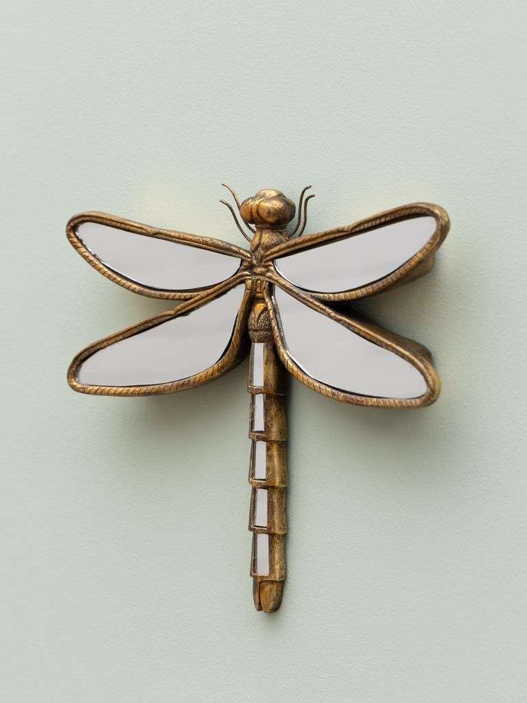 Libellule en miroirs