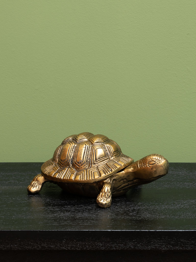 Boîte tortue