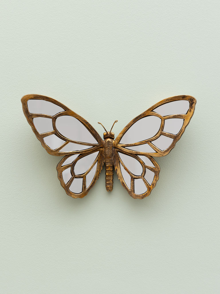 Papillon en miroirs