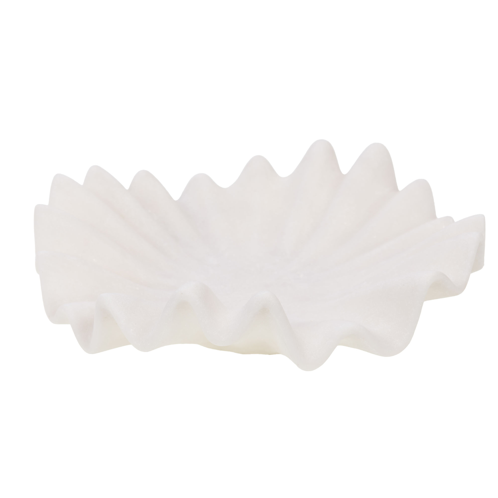 Coupe Alizée grand modèle