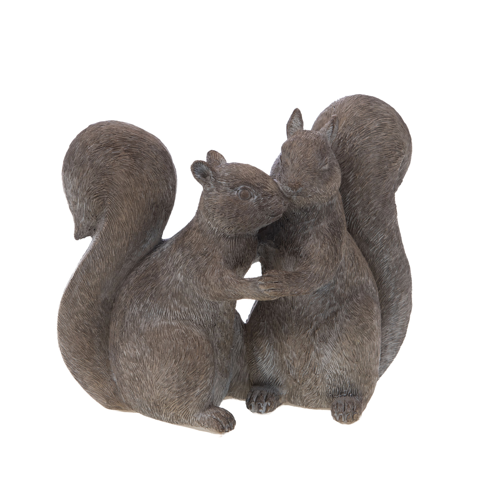 Couple d&rsquo;écureuils