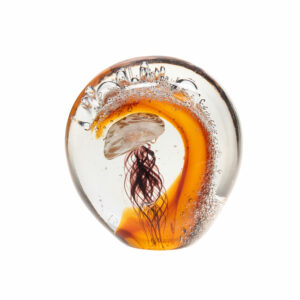 Sulfure méduse ambre